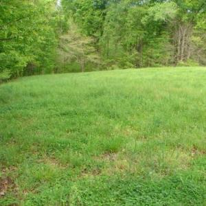 Photo #28 of Dan, Robbins, NC 45.6 acres