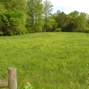 Photo #5 of Dan, Robbins, NC 45.6 acres