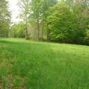 Photo #9 of Dan, Robbins, NC 45.6 acres