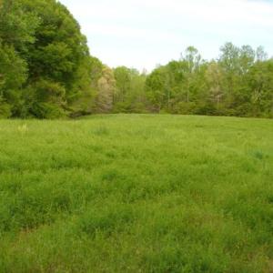Photo #30 of Dan, Robbins, NC 45.6 acres