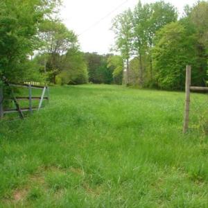 Photo #10 of Dan, Robbins, NC 45.6 acres