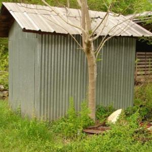Photo #49 of Dan, Robbins, NC 45.6 acres