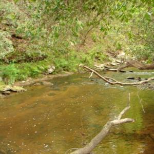 Photo #45 of Dan, Robbins, NC 45.6 acres