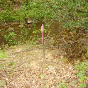Photo #37 of Dan, Robbins, NC 45.6 acres