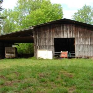 Photo #11 of Dan, Robbins, NC 45.6 acres