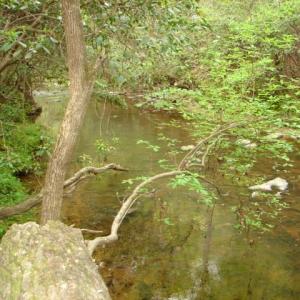 Photo #44 of Dan, Robbins, NC 45.6 acres