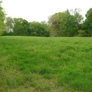 Photo #31 of Dan, Robbins, NC 45.6 acres