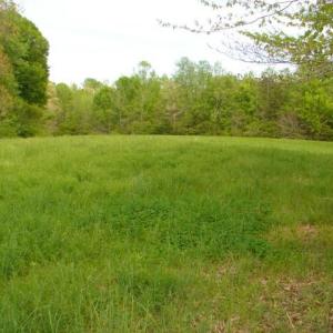 Photo #29 of Dan, Robbins, NC 45.6 acres
