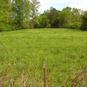 Photo #4 of Dan, Robbins, NC 45.6 acres
