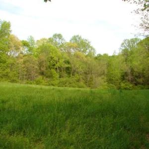 Photo #21 of Dan, Robbins, NC 45.6 acres