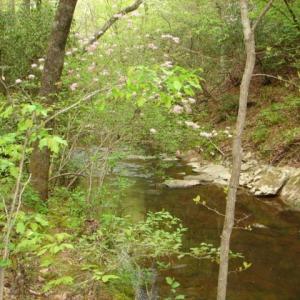 Photo #38 of Dan, Robbins, NC 45.6 acres
