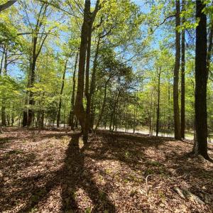Photo #6 of Holly Hills, Troy, NC 2.8 acres