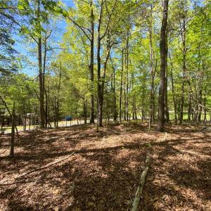 Photo #5 of Holly Hills, Troy, NC 2.8 acres