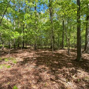Photo #8 of Holly Hills, Troy, NC 2.8 acres