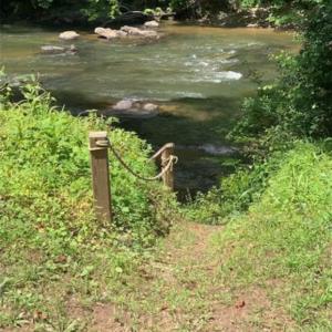 Photo #1 of 1175 Mabe, Danbury, NC 0.8 acres