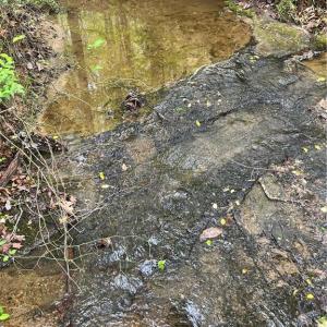 Photo #10 of Sheets, Germanton, NC 26.8 acres