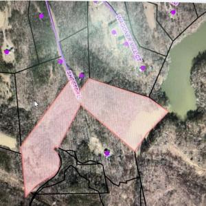 Photo #2 of Sheets, Germanton, NC 26.8 acres