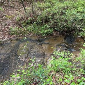 Photo #12 of Sheets, Germanton, NC 26.8 acres