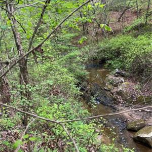 Photo #11 of Sheets, Germanton, NC 26.8 acres