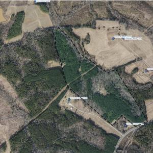 Photo #2 of Vacant Land NC Highway 119, Semora, NC 105.0 acres