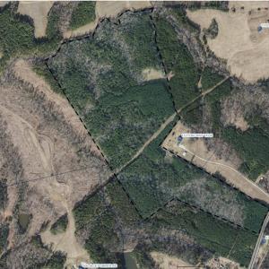 Photo #3 of Vacant Land NC Highway 119, Semora, NC 105.0 acres
