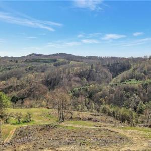 Photo #6 of TBD Highlands Parkway, Mouth of Wilson, VA 37.2 acres
