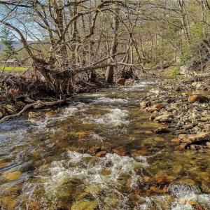 Photo #17 of TBD Highlands Parkway, Mouth of Wilson, VA 37.2 acres