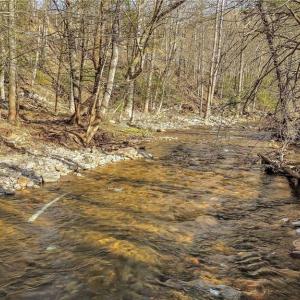 Photo #22 of TBD Highlands Parkway, Mouth of Wilson, VA 37.2 acres