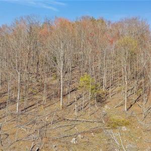 Photo #1 of TBD Highlands Parkway, Mouth of Wilson, VA 37.2 acres