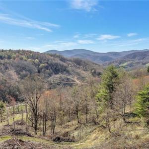 Photo #9 of TBD Highlands Parkway, Mouth of Wilson, VA 37.2 acres