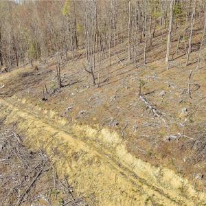 Photo #10 of TBD Highlands Parkway, Mouth of Wilson, VA 37.2 acres
