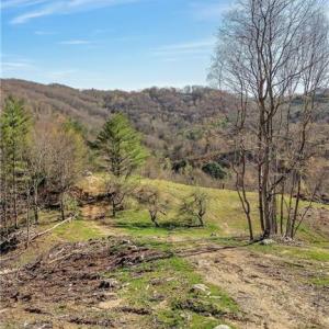 Photo #11 of TBD Highlands Parkway, Mouth of Wilson, VA 37.2 acres