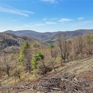 Photo #4 of TBD Highlands Parkway, Mouth of Wilson, VA 37.2 acres