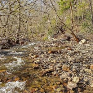 Photo #21 of TBD Highlands Parkway, Mouth of Wilson, VA 37.2 acres