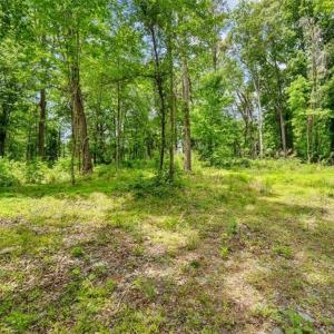 Photo #8 of 5833 Thacker Dairy, Whitsett, NC 5.1 acres