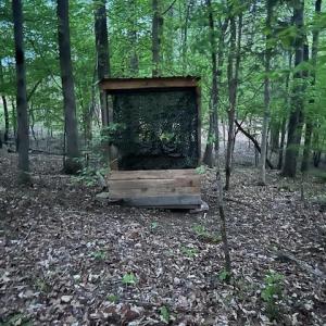 Photo #12 of 618 Crystal Cove, Yanceyville, NC 5.1 acres