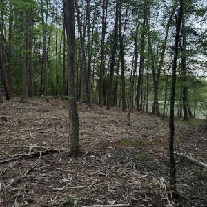 Photo #9 of 618 Crystal Cove, Yanceyville, NC 5.1 acres