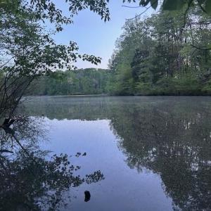 Photo #11 of 618 Crystal Cove, Yanceyville, NC 5.1 acres
