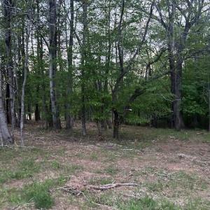 Photo #8 of 618 Crystal Cove, Yanceyville, NC 5.1 acres