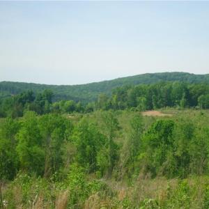 Photo #1 of Farmer Denton, Denton, NC 43.0 acres