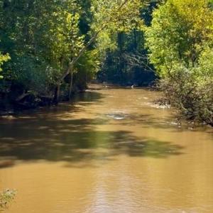 Photo #10 of NC Highway 801, Woodleaf, NC 20.3 acres