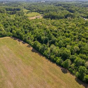 Photo #8 of NC Highway 801, Woodleaf, NC 20.3 acres