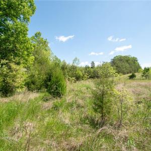 Photo #23 of 4100 High Rock, Gibsonville, NC 19.7 acres
