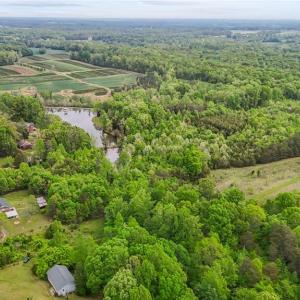 Photo #6 of 4100 High Rock, Gibsonville, NC 19.7 acres