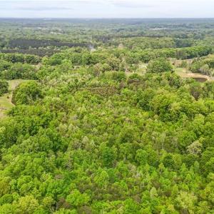 Photo #13 of 4100 High Rock, Gibsonville, NC 19.7 acres