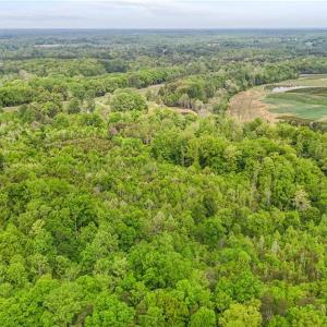 Photo #12 of 4100 High Rock, Gibsonville, NC 19.7 acres