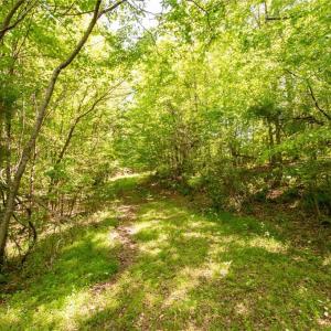 Photo #26 of 4100 High Rock, Gibsonville, NC 19.7 acres