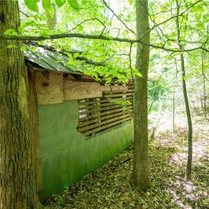 Photo #36 of 4100 High Rock, Gibsonville, NC 19.7 acres