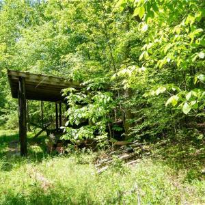 Photo #32 of 4100 High Rock, Gibsonville, NC 19.7 acres