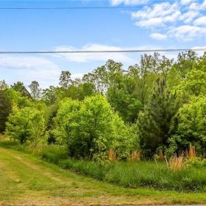 Photo #20 of 4100 High Rock, Gibsonville, NC 19.7 acres